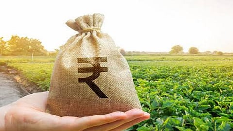 Rabi Crop loan
