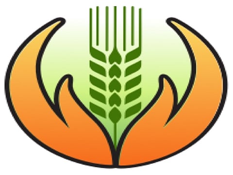 Crop Insurance
