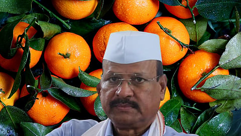  Orange Export : संत्रा निर्यातीवर ५० टक्के अनुदानाला मान्यता; हंगाम संपल्यावर राज्य सरकारला आली जाग 