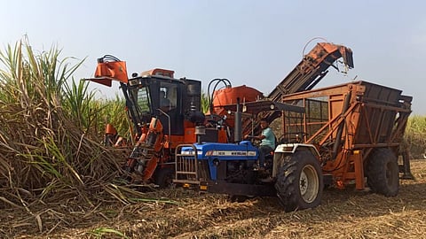 Sugar Production