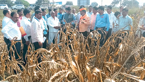 Crop Damage