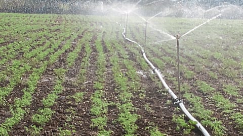 Water Management