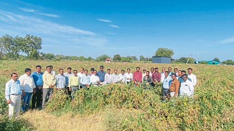 Crop System 