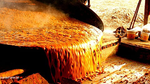 Jaggery Market 