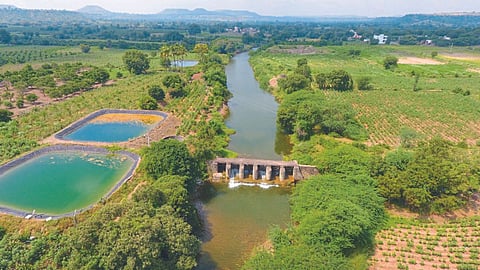 Rural Development