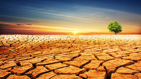 Wasteland
