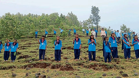Agriculture Conservation
