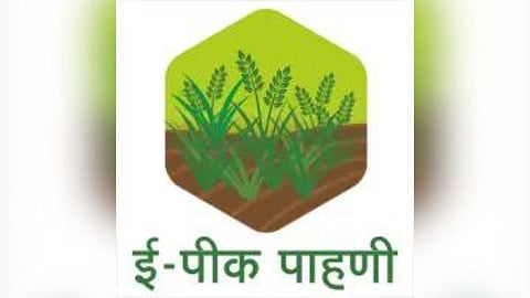 E Peek Pahani