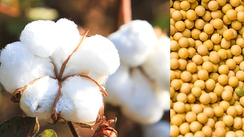 Agricultural prices
