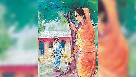 Rural Story