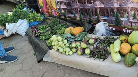vegetable 