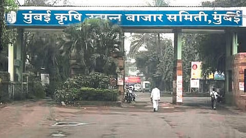 APMC Market