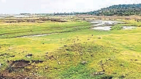 Water Crisis