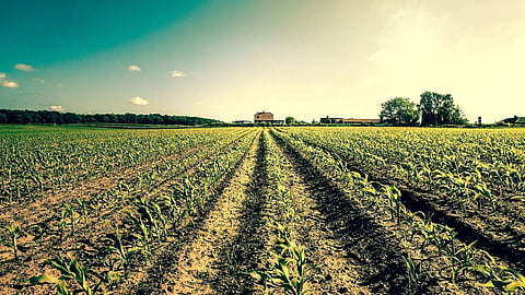 Agriculture Development 