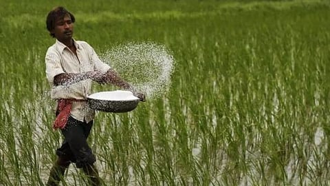 Urea Rate