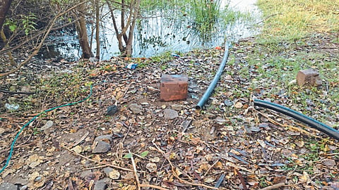 Agriculture Pump 