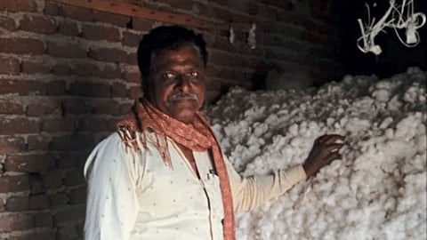 Cotton rate