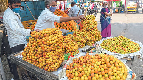 Ber Fruit 