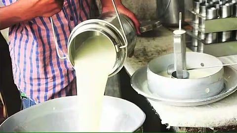 Milk