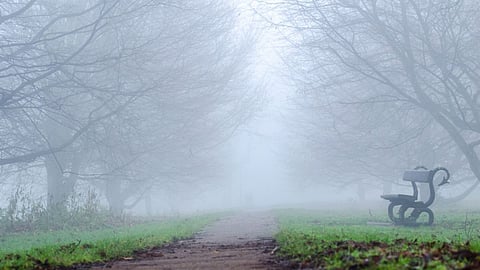 Cold Weather