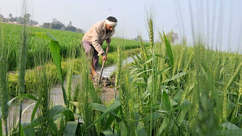 Agriculture News