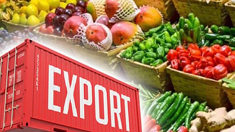 Agriculture Export