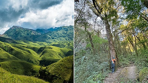 Nagaland 