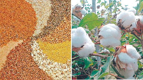 Commodity Market