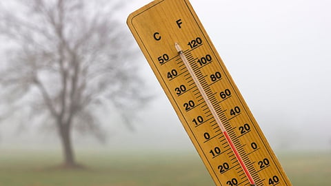 Maharashtra Cold   