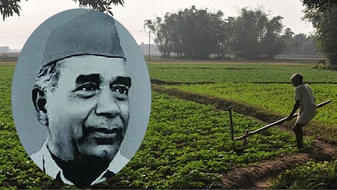 Governments Land Purchase