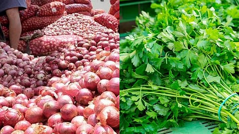 Onion And Coriander