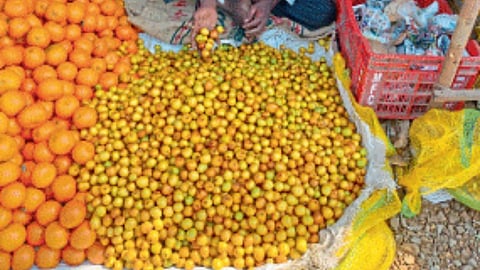 Ber Market
