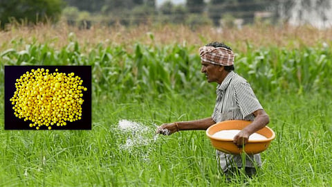 Sulfur Coated Urea 