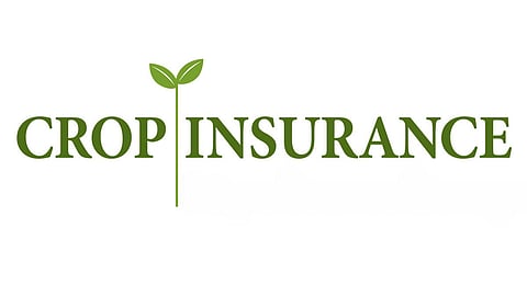 Crop Insurance