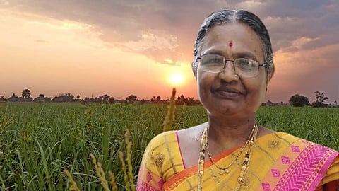 Kolhapur Sugarcane