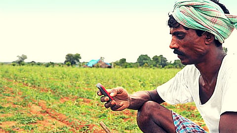 Crop Loan Subsidy