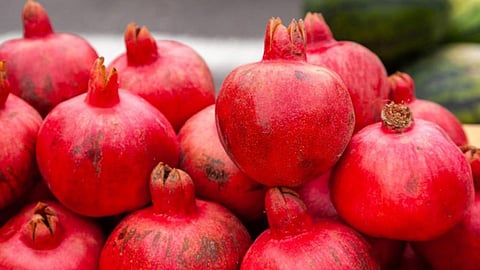 Pomegranate 
