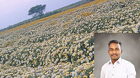 Flower Farming 