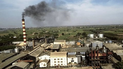 Sugar Production