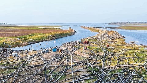 Ujani Dam