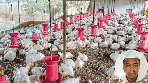 Poultry Farming