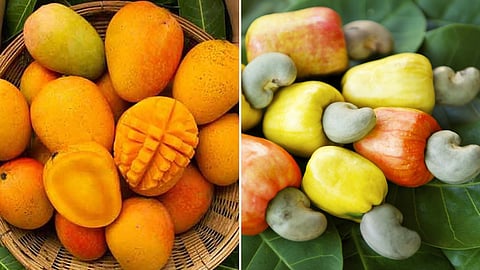 Mango and Cashew