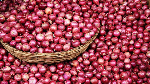 Onion