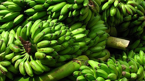 Banana Market