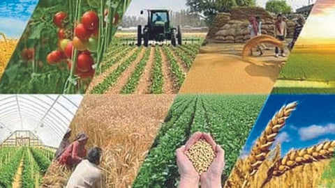Agriculture 