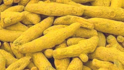 Turmeric 