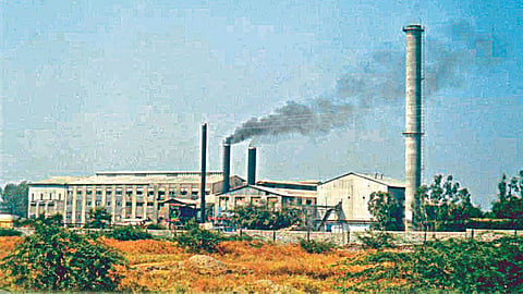 Sugar Industry 