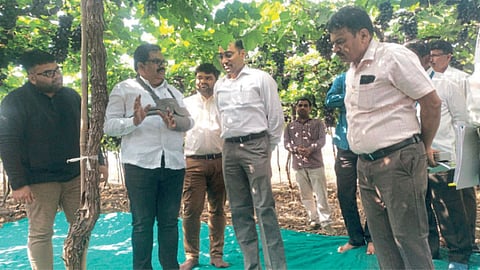 Agriculture Commissioner 