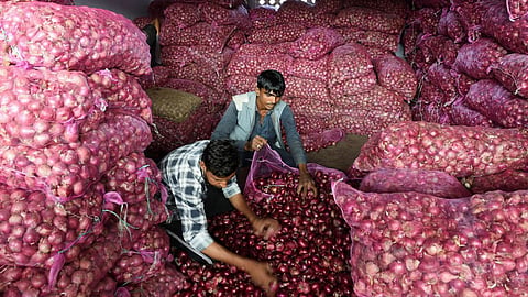 Onion Market