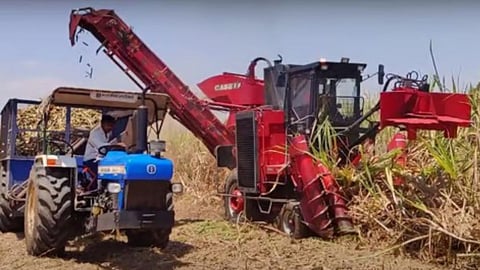 Sugarcane Harvesters